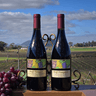 Sunset In The Vineyard