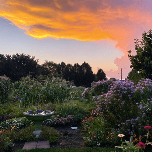 Emerson Park Community Garden