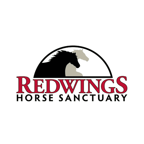 Redwings Horse Rescue & Sanctuary