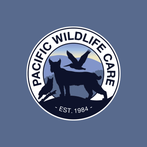Pacific Wildlife Care